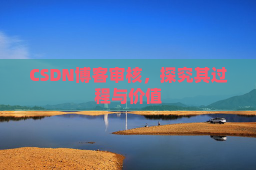 CSDN博客审核，探究其过程与价值